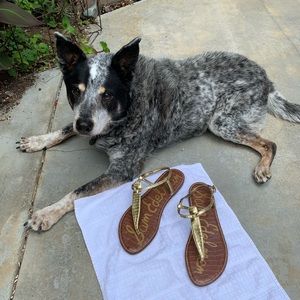 Sam Edelman Gold Metallic Sandals  Size 11 1/2
